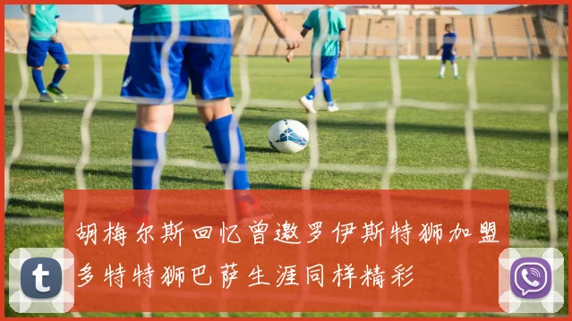 胡梅尔斯回忆曾邀罗伊斯特狮加盟多特特狮巴萨生涯同样精彩