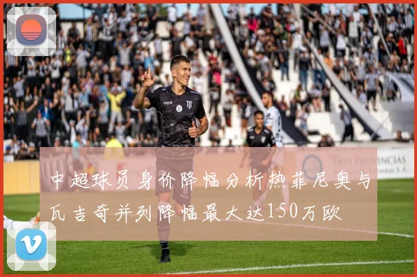 中超球员身价降幅分析热菲尼奥与瓦吉奇并列降幅最大达150万欧
